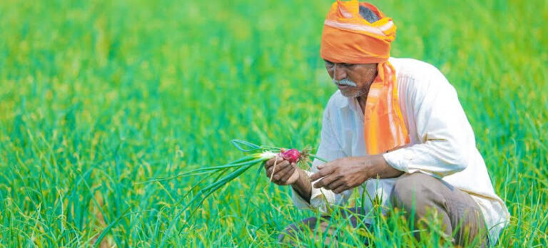 ਖੇਤੀਬਾੜੀ ਅਤੇ ਕਿਸਾਨ ਭਲਾਈ ਵਿਭਾਗ ਵੱਲੋਂ ਜ਼ਿਲ੍ਹਾ ਪੱਧਰੀ ਕਿਸਾਨ ਸਿਖਲਾਈ ਅਤੇ ਖੇਤੀ ਪ੍ਰਦਰਸ਼ਨੀ ਦਾ ਆਯੋਜਨ 04 ਨੂੰ