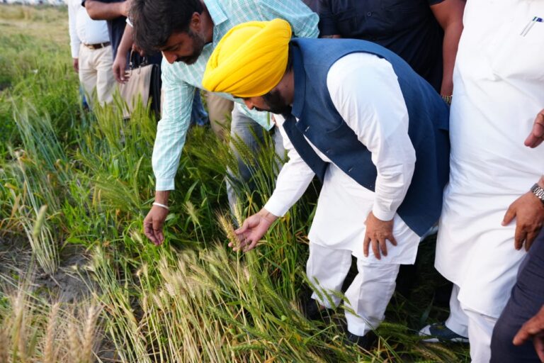 किसानों के लिए बड़ी राहत; मुख्यमंत्री द्वा रा फ़सल के खराबे के लिए मुआवज़े में 25 प्रतिशत व ृद्धि का ऐलान   मज़दूरों को 10 प्रतिशत मुआवज़ा  दिए जाने की बात दोहराई